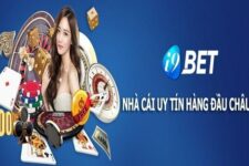 i9bet – Đánh giá nhà cái i9bet cá cược uy tín số 1 Việt Nam