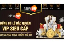 New88 – Đánh giá nhà cái New88 có uy tín như lời đồn