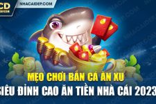 Mẹo Chơi Bắn Cá Ăn Xu Siêu Đỉnh Cao Ăn Tiền Nhà Cái 2024