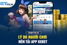 Đã Cá Cược Thể Thao – Lên Ngay 8xbet